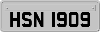 HSN1909
