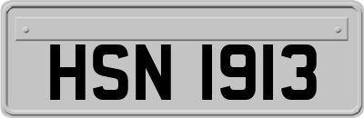 HSN1913
