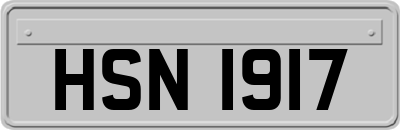HSN1917