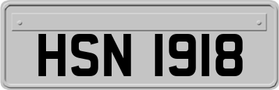 HSN1918