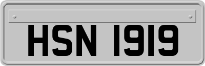 HSN1919