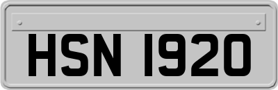 HSN1920