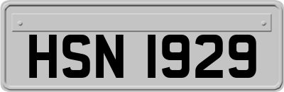 HSN1929