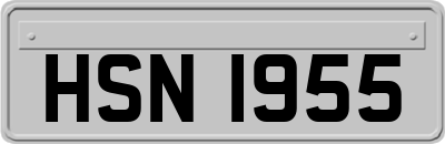 HSN1955