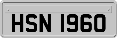 HSN1960
