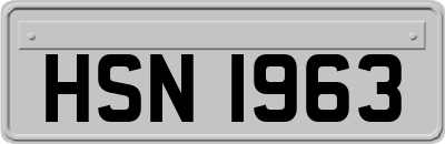 HSN1963
