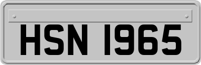 HSN1965