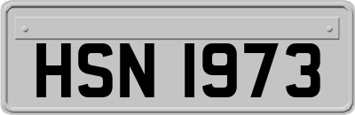 HSN1973