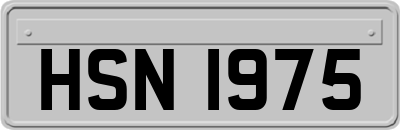 HSN1975