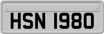 HSN1980