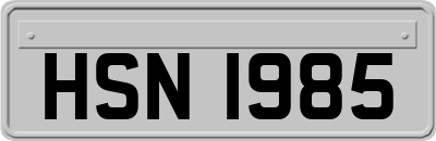 HSN1985