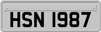 HSN1987