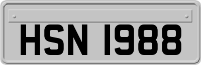 HSN1988