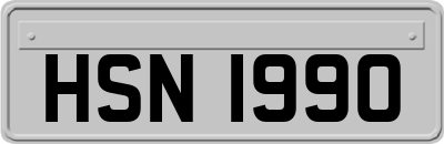 HSN1990