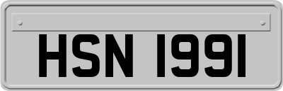 HSN1991