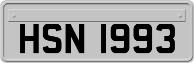 HSN1993