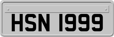 HSN1999