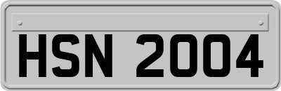 HSN2004