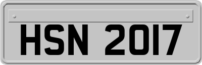 HSN2017