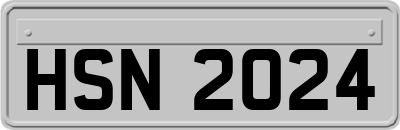HSN2024