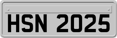 HSN2025