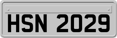 HSN2029