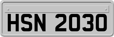 HSN2030