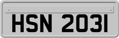 HSN2031