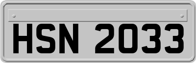 HSN2033