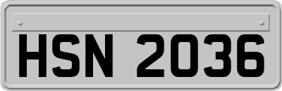 HSN2036