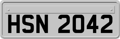 HSN2042