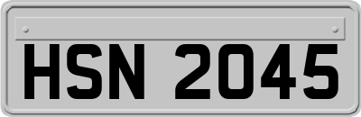 HSN2045