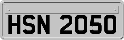 HSN2050