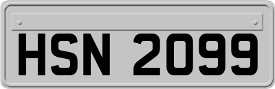 HSN2099