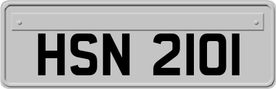 HSN2101