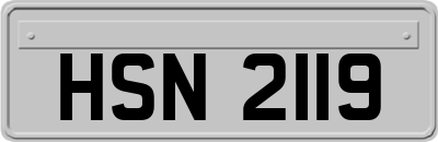 HSN2119