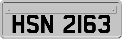 HSN2163