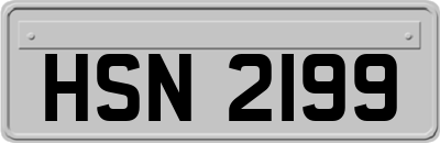 HSN2199