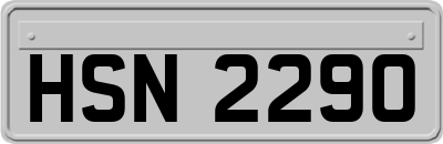 HSN2290