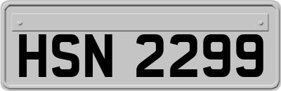HSN2299