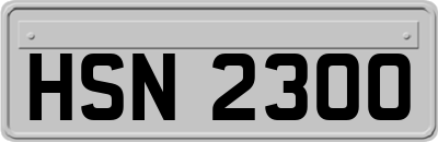 HSN2300
