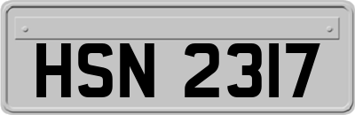 HSN2317