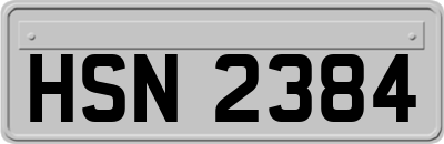 HSN2384