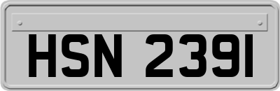 HSN2391