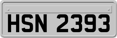 HSN2393