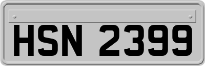 HSN2399