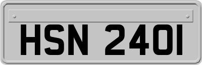 HSN2401