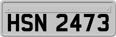 HSN2473