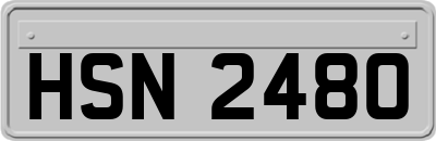 HSN2480