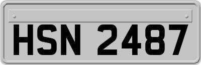 HSN2487